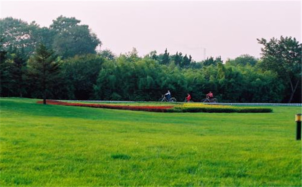 網(wǎng)絡(luò)化空氣監(jiān)測(cè)站