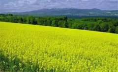 怎么用空氣負(fù)氧離子監(jiān)測(cè)系統(tǒng)？